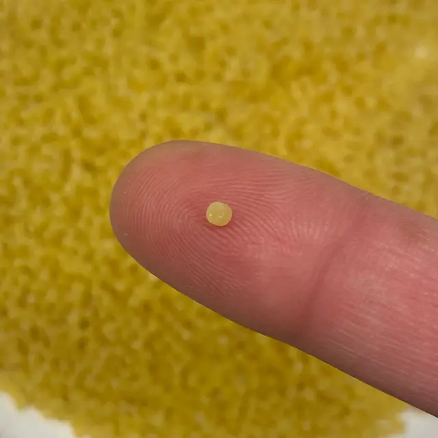 A close up shot of Acini di pepe held between fingers